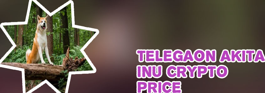 Akita inu crypto price