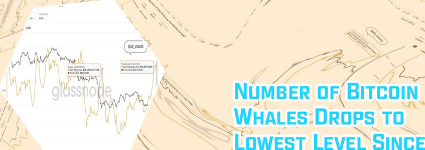 Bitcoin number