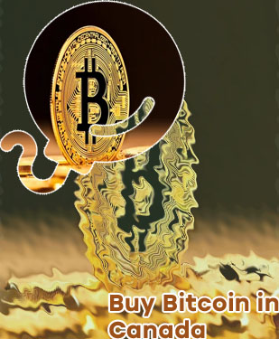 Bitcoin price canada