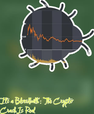 Did bitcoin crash