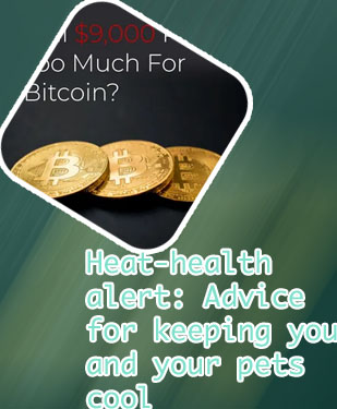 How much is a single bitcoin worth