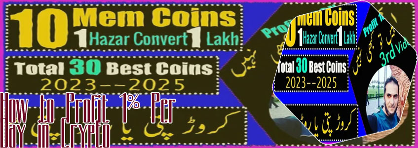 To invest all profits in crypto